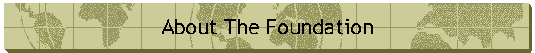 About The Foundation